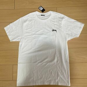 stussy HORIZON TEE