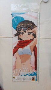 L賞 カエサル 縦59.5cm ロングポスター 一番くじプレミアム ガールズ&パンツァー 最終章 カバさんチーム