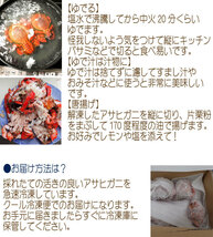 アサヒガニ 旭蟹 350～360ｇ 高知産 天然 プロトン冷凍便 送料無料 塩ゆで 焼く 鍋 汁 雑炊 etc 宇和海の幸問屋_画像6