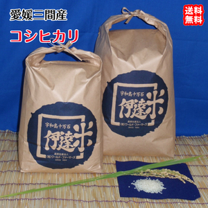 コシヒカリ 白米 10kg 2023年産 愛媛 三間産 伊達米 減農薬 特別栽培米 百姓直送 送料込み 宇和海の幸問屋