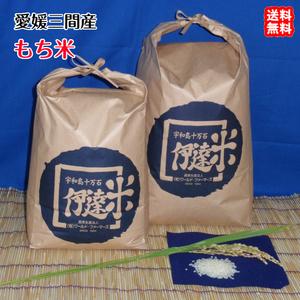  клейкий рис белый рис 25kg 2023 год производство Ehime три промежуток производство . пестициды специальный культивирование рис 100 . прямая поставка включая доставку . мир море. . оптовый склад 