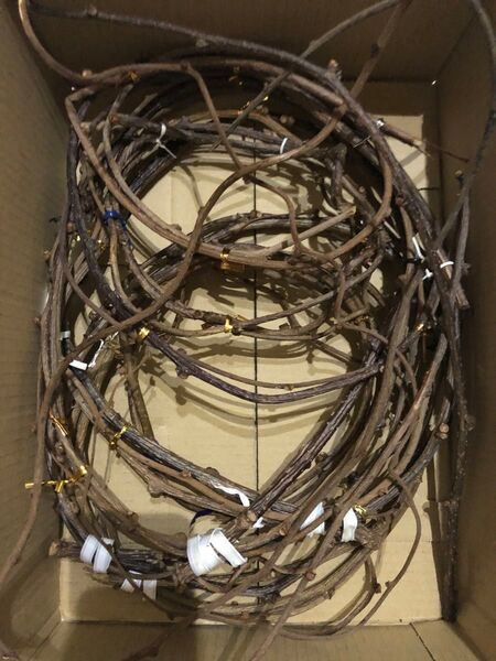 キウイの蔓 ハンドメイド 工作材料
