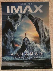 アクアマン / 失われた王国 ジェイソン・モモア / アンバー・ハード IMAX A3 ポスター 