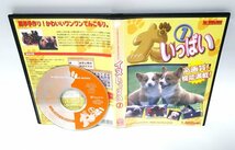 【同梱OK】 犬いっぱい Vol.1 ■ 写真素材集 ■ Windows / Mac_画像1