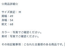 TC91ね@ Patagonia MICRO PUFF VEST ダウンベスト メンズ Mサイズ_画像2