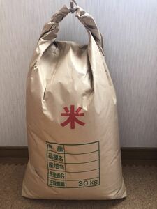 訳あり　ヒノヒカリ　玄米　約30kg 減農薬　新米　令和5年産　生産直売