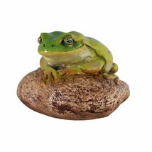 蛙のフィニアス 庭の岩の上に座るヒキガエルの彫像 ガーデンオブジェ 両生類蛙フィギュア庭園 贈り物輸入品_画像8