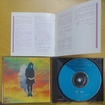 CD POISON GIRL FRIEND SHYNESS モーマス プロデュース Momus 帯なし_画像2