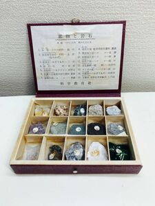 鉱物と岩石標本セット　15種 鉱物標本 天然石 国産鉱物 コレクション 水晶 教材 石英