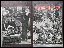 1938年 満洲写真雑誌 大連現地刊 検索:新京奉天 関東軍閥 溥儀 総督府 南満鉄路 馬賊 張学良 馬占山 生写真 古建築 中華民国 支那風景 帝国_画像10