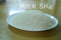 ★令和5年　あきさかり　5Kg無洗米　送料無料_画像2