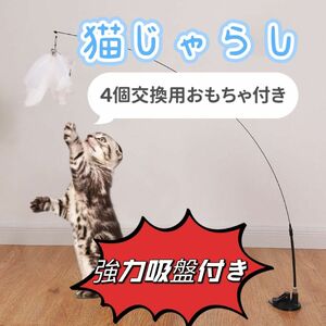 強力吸盤付き猫じゃらし 一人遊び　面白い　4個交換用おもちゃ付きa