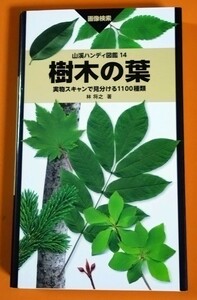 樹木の葉　山渓ハンディ図鑑14　林将之 著