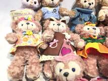 ■10670■12個セット Duffy Stellalou Gelatoni ダッフィー ステラルー ジェラトーニ ぬいぐるみ バッジ 東京ディズニーシー _画像5