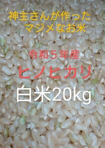 神主さんが作ったマジメなお米　R5年産　ヒノヒカリ　白米　20kg　わが家の田んぼにはメダカやドジョウがたくさん　コウノトリも時々来ます