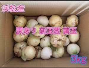 訳あり 新玉葱 新玉ねぎ 黄玉 静岡県浜松産 3kg