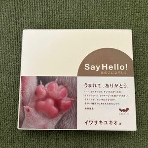 Ｓａｙ　Ｈｅｌｌｏ！　あのこによろしく （ほぼ日ブックス） イワサキ　ユキオ　著