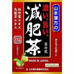 山本漢方 濃い旨い減肥茶 24H