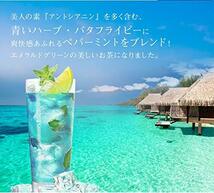 バタフライピー ティーバッグ10包 合計10包 夏にはスッキリして飲みやすいミントフレーバー 青いお茶 濃い目 【Becomes More_画像3