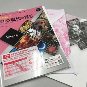 最新入試頻出テーマによる英語長文20選 3rd Edition NEO現代を見る いいずな書店