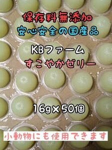 KBファーム すこやかゼリー 国産ゼリー16g 50個 カブトムシ クワガタ 昆虫