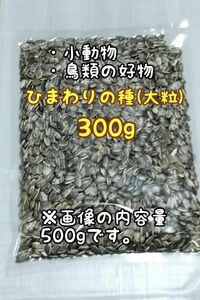 アメリカ産 ひまわりの種 300g 大粒 小動物 鳥類 ハムスターのおやつ