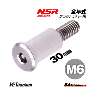 チタンボルト M6×30 P1.0 シルバー 1本 ピポットボルト スレッド 14mm ホンダ NSR250 ハンドル クラッチ レバー ボルト バイク レストア