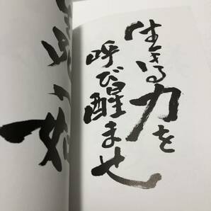 言葉の魔法 人生は単なる空騒ぎ スタジオジブリ 鈴木敏夫 角川書店 書 詩 解説★帯付きの画像10