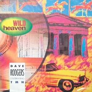 美品/イタリア盤12インチ/Dave RodgersCelebratingTMN/Wild Heaven/TM NETWORKカバー曲/小室哲哉 Tetsuya Komuroの画像1