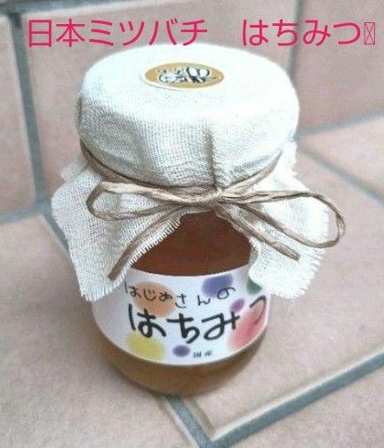 日本みつばち　蜂蜜　天然　国産はちみつ