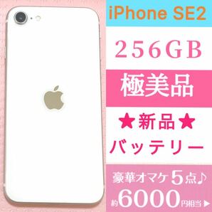 極美品★高品質 新品バッテリー残量100%★大容量256GB★iPhone SE2★本体ホワイト★豪華6000円以上のオマケ★SIMフリー 安心返品保証の画像1