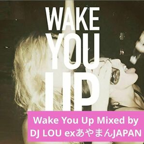 WakeYouUpMixedbyDJLOU ex あやまんJAPAN CD LUXURYPARTY DJ LOU パーティー曲