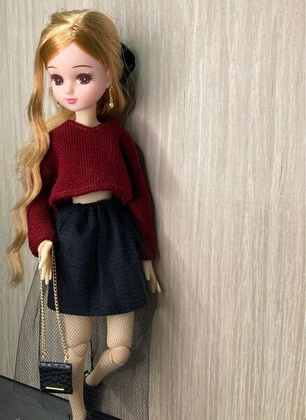 リカちゃん服 5点セット トップス・スカート・バッグ・シュシュ・ピアス
