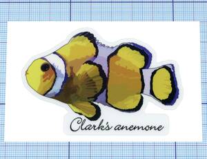 ★★ クマノミ(Clark’s anemone) のステッカー ★★ 英語Ver. 左右約7.5cm×天地約5.2cm