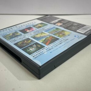 任天堂 DS ニンテンドーDS ケース説明書付き  接点洗浄済 テイルズ オブ ザ テンペスト SAKA5の画像6