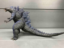 魂ストア限定 S.H.MonsterArts ゴジラ(2019) Night Color Edition ゴジラキングオブモンスターズ_画像7