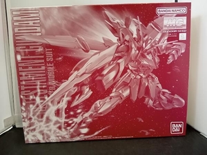 プラモデル バンダイ 1/100 テスタメントガンダム MG 「機動戦士ガンダムSEED DESTINY ASTRAY」 パーツ確認済み