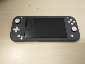 箱・説明書なし 付属品欠品 Nintendo Switch Lite グレー