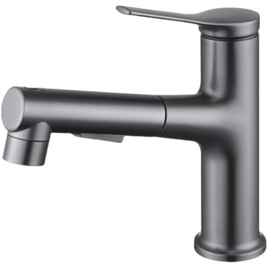 (A) 洗面蛇口 噴水機能付き グレ ーシングルレバー 混合栓　キッチン用水栓 　引出し式