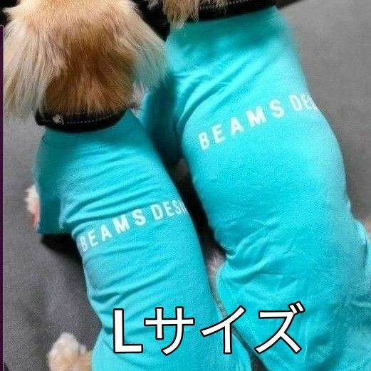 大好評！BEAMS DESIGN スタンダードシャツ ターコイズブルー L