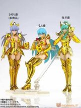 【大聖モデル/GreatToys】1/12 神聖契約 女性聖闘士 さそり座 蠍座 グラディン 15cm 聖闘士星矢 可動 フィギュア 新品 非聖衣神話_画像9