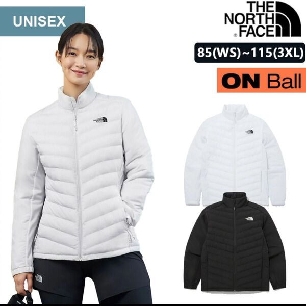 THE NORTH FACE ダウンジャケット 韓国限定 トートバッグ付