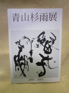 【送料無料】図録『青山杉雨展』（1994年）書道　書体書法研究　金石文　一作一面貌