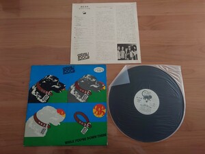 ★Stray Dog ストレイ・ドッグ★WHILE YOU'RE DOWN THERE 迷える犬★見本盤★PROMO★SAMPLE★Rare Item★中古LP