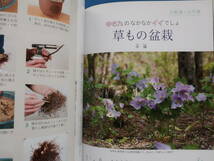 趣味の山野草 2014年2月号/特集:白根葵と山芍薬/心象風景を野の花に寄せて 雪割草 水晶寒蘭 おもと/花図鑑/東洋ラン/山野草展/シラネアオイ_画像5