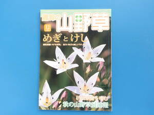 趣味の山野草 2009年12月号/特集:めぎとけし 個性派揃いのめぎ科 危ういほどに美しいケシ科/杭州寒蘭/安芸の山野草展速報/花らん他解説資料