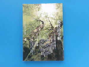 現代詩手帖 2023年4月号/特集:天沢退二郎の彼方へ/アマタイ、その非現実空間のゆらぎ/天沢退二郎代表詩選草のうた/白い道/陽気なパトロール