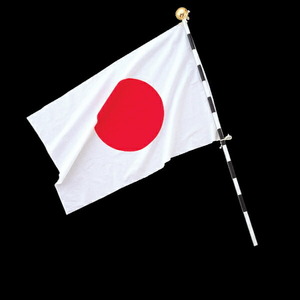 日本国旗 日の丸セット スポーツ観戦 オリンピック ワールドカップ WBC 野球 観戦旗 応援 式典 祝日 運動会