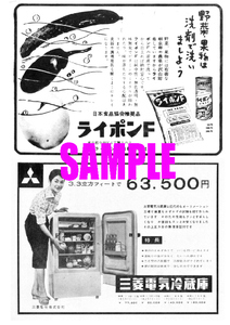 ■1837 昭和33年(1958)のレトロ広告 ライポンF ライオン油脂 三菱電気冷蔵庫