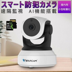 防犯カメラ 屋内用 C24 100万画素 SDカード256GB同梱 AI機能搭載 ONVIF対応 WIFI 遠隔監視 ネットワーク カメラ PSE 技適「C24/SD256.A」